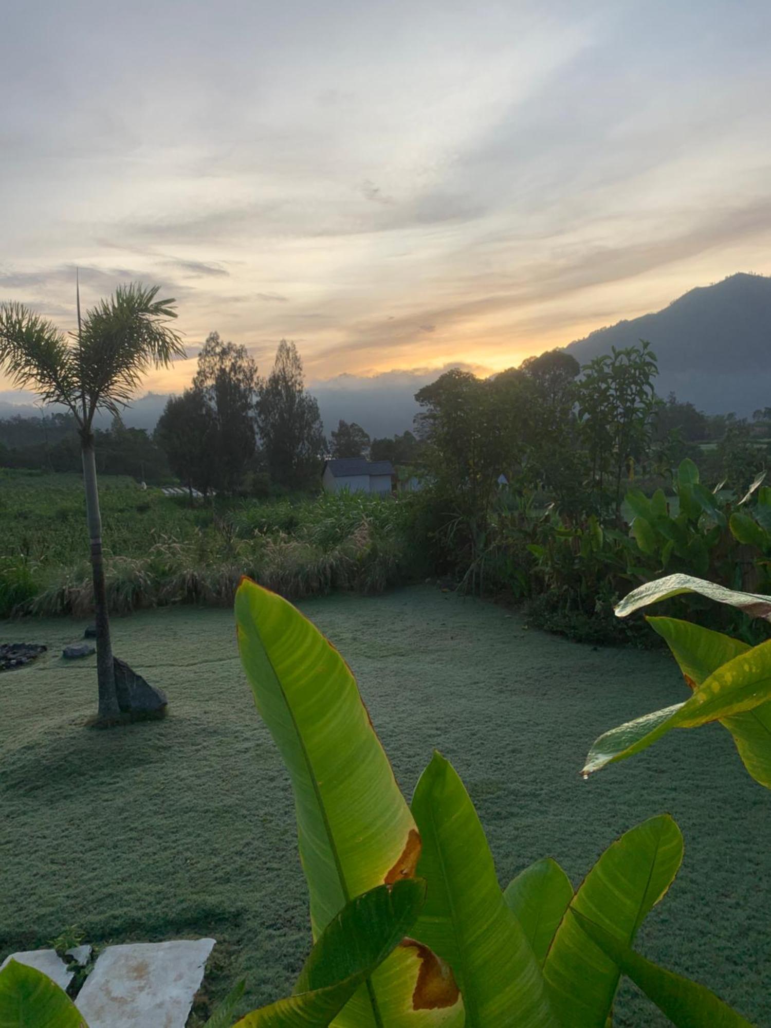 Bali Lesung Hotel Kintamani Buitenkant foto